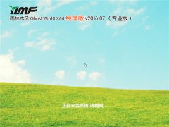 <b>雨林木风 Ghost Win10 64位 快速装机版 V2016.07.28</b>