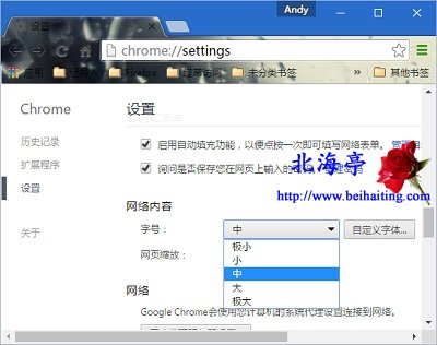 谷歌Chrome浏览器设置字体大小