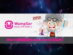 Win10无法启动wampserver怎么办？