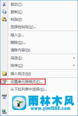 雨林木风win10系统excel的文字不显示怎么解决？