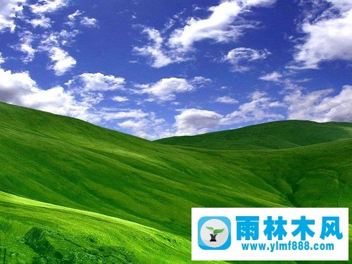 深度技术Win雨林木风xp系统U盘安装linux系统的方法