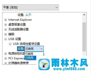 雨林木风win10系统USB选择性暂停设置方法