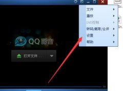 雨林木风win10系统QQ影音如何关联本地字幕?