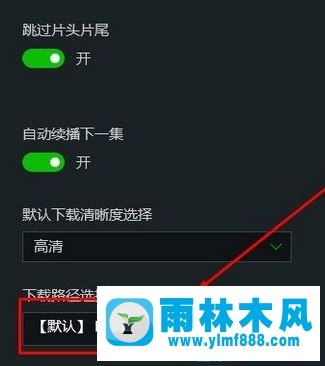 雨林木风win10系统爱奇艺怎么下载视频？