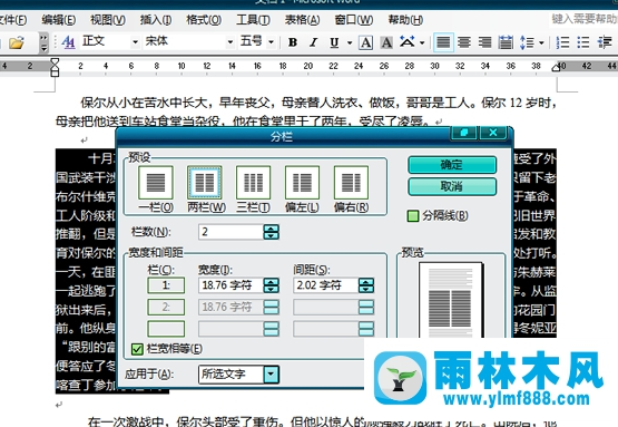 雨林木风xp系统电脑Word分栏的用法