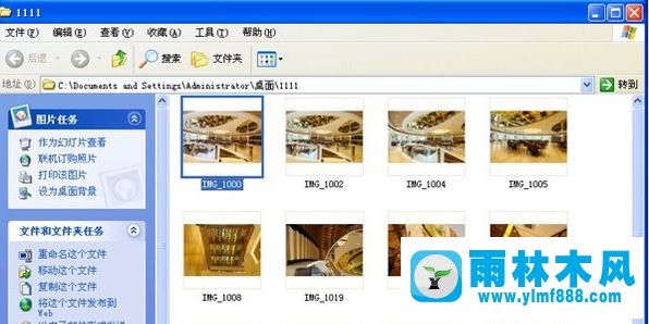 雨林木风xp系统缩略图不显示文件名怎么办?