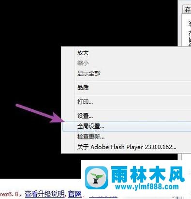 雨林木风win10系统下如何使用ckplayer软件？