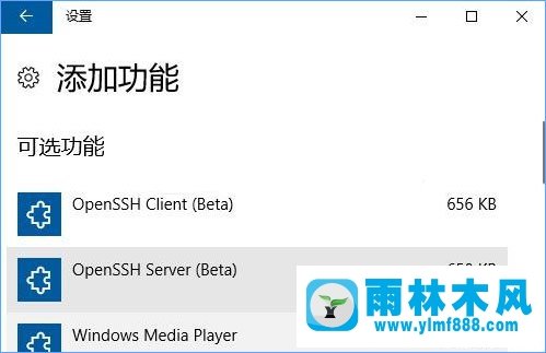 怎么在雨林木风win10系统安装内置功能OpenSSH