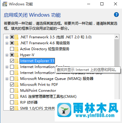 怎么禁用Win10系统的IE浏览器