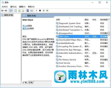 win10系统除了edge其他浏览器都不能上网的解决办法