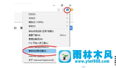 雨林木风win10系统设置IE11兼容性视图方法教程