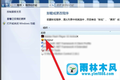 雨林木风win10卸载bonjour的方法教程